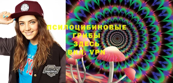 mdpv Белокуриха
